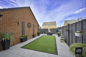 Photo 7- click for photo gallery